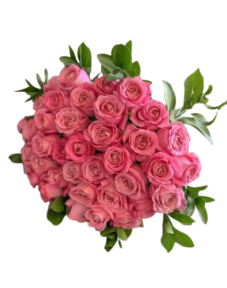 Pink Roses