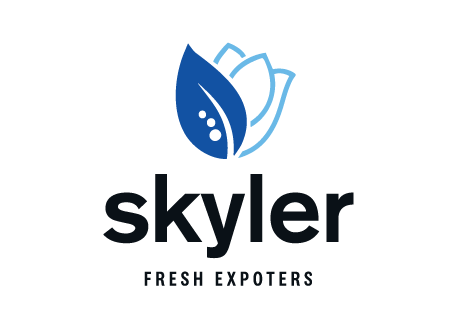 Skyler Logo
